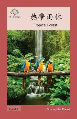 熱帶雨林: Las tropikalny - 熱帶雨林: Tropical Forest