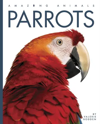 Papugi - Parrots