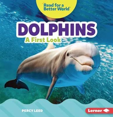 Delfiny: Pierwsze spojrzenie - Dolphins: A First Look