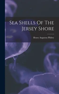 Muszle morskie z wybrzeża Jersey - Sea Shells Of The Jersey Shore