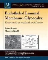 Błona komórkowa śródbłonka - glikokaliks: funkcje w zdrowiu i chorobie - Endothelial Luminal Membrane-Glycocalyx: Functionalities in Health and Disease