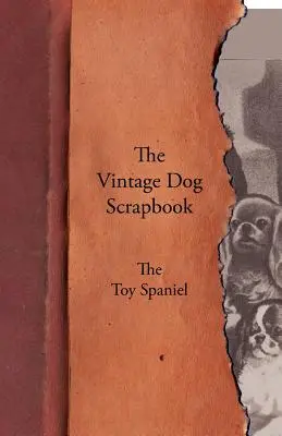 Album o psach w stylu vintage - spaniel toy - The Vintage Dog Scrapbook - The Toy Spaniel