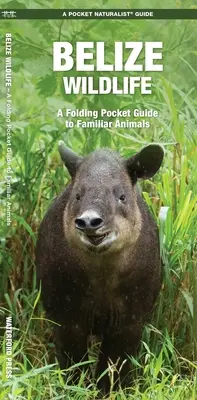 Belize Wildlife: Składany kieszonkowy przewodnik po znanych zwierzętach - Belize Wildlife: A Folding Pocket Guide to Familiar Animals