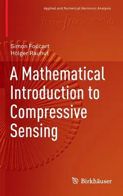 Matematyczne wprowadzenie do czujników kompresyjnych - A Mathematical Introduction to Compressive Sensing