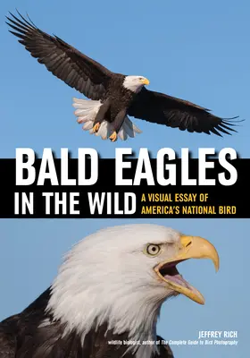 Bieliki na wolności: wizualny esej o amerykańskim ptaku narodowym - Bald Eagles in the Wild: A Visual Essay of America's National Bird