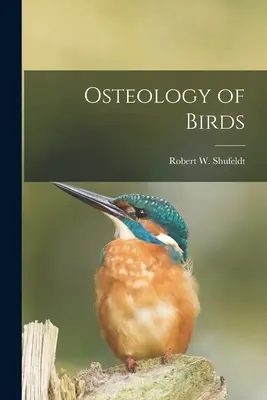 Osteologia ptaków - Osteology of Birds