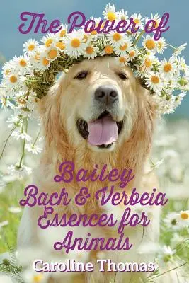 Moc esencji Bailey, Bacha i Verbeia dla zwierząt - The Power of Bailey, Bach & Verbeia Essences for Animals