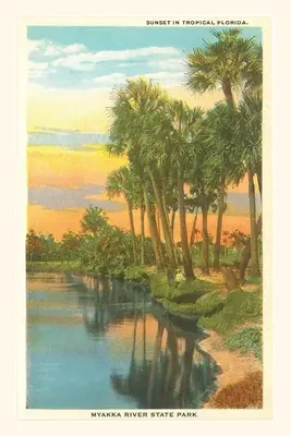 Vintage Journal Zachód słońca w tropikalnej Florydzie, Myakka River State Park - Vintage Journal Sunset in Tropical Florida, Myakka River State Park