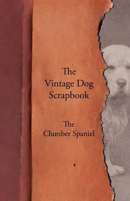 Album o psach w stylu vintage - Spaniel Clumber - The Vintage Dog Scrapbook - The Clumber Spaniel