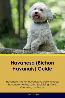 Hawańczyk (Bichon Havanais) Przewodnik Przewodnik zawiera: Szkolenie hawańczyka, dieta, socjalizacja, opieka, pielęgnacja i wiele więcej - Havanese (Bichon Havanais) Guide Havanese Guide Includes: Havanese Training, Diet, Socializing, Care, Grooming, and More