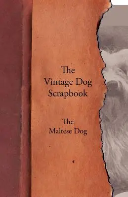 Album o psach w stylu vintage - maltańczyk - The Vintage Dog Scrapbook - The Maltese