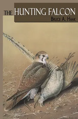 Sokół myśliwski - The Hunting Falcon