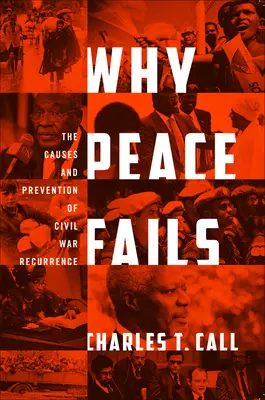 Dlaczego pokój zawodzi: Przyczyny i zapobieganie nawrotom wojny domowej - Why Peace Fails: The Causes and Prevention of Civil War Recurrence