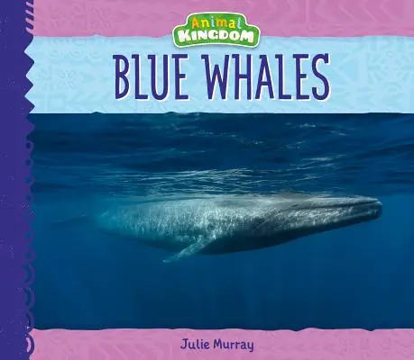 Wieloryby błękitne - Blue Whales