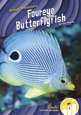 Motylica czterooka - Foureye Butterflyfish