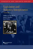 Ustawodawstwo i wykładnia ustawowa - Legislation and Statutory Interpretation