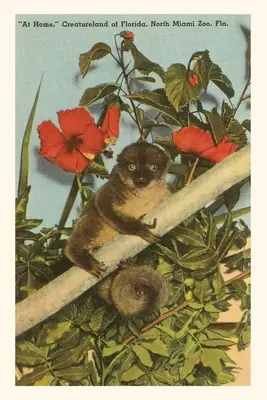 Dziennik historyczny Slow Loris, Hibiskus, Floryda - Vintage Journal Slow Loris, Hibiscus, Florida