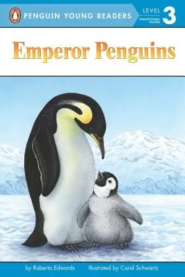 Pingwiny cesarskie - Emperor Penguins