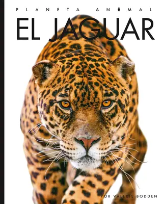 Jaguar - El Jaguar