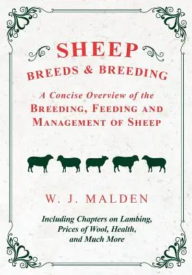 Sheep Breeds and Breeding - A Concise Overview of the Breeding, Feeding and Management of Sheep, including Chapters on Lambing, Prices of Wool, Health - Sheep Breeds and Breeding - A Concise Overview of the Breeding, Feeding and Management of Sheep, Including Chapters on Lambing, Prices of Wool, Health