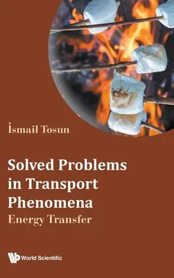 Rozwiązane problemy z zakresu zjawisk transportowych: Transfer energii - Solved Problems in Transport Phenomena: Energy Transfer