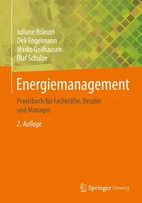 Energiemanagement: Praxisbuch Fr Fachkrfte, Berater Und Manager