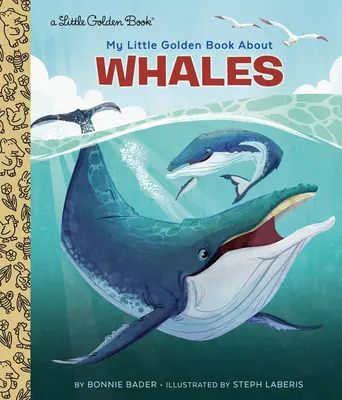 Moja złota książeczka o wielorybach - My Little Golden Book about Whales