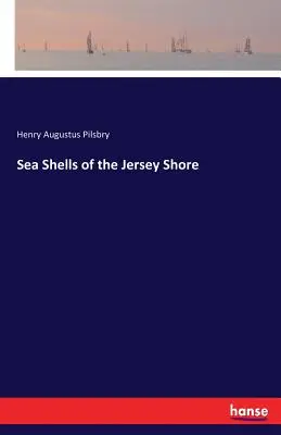 Muszle morskie z Jersey Shore - Sea Shells of the Jersey Shore