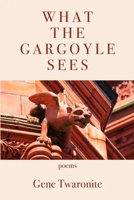 Co widzi gargulec - What the Gargoyle Sees