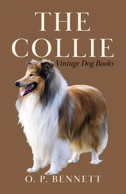 Collie - The Collie