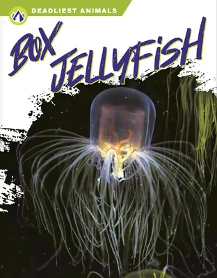 Meduza pudełkowa - Box Jellyfish