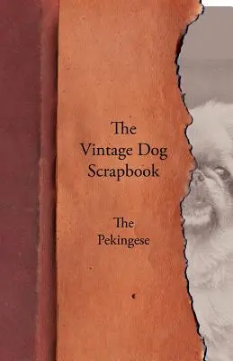 Album o psach w stylu vintage - pekińczyk - The Vintage Dog Scrapbook - The Pekingese