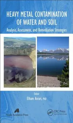 Zanieczyszczenie wody i gleby metalami ciężkimi: analiza, ocena i strategie naprawcze - Heavy Metal Contamination of Water and Soil: Analysis, Assessment, and Remediation Strategies