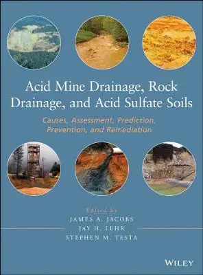 Odwadnianie kwaśnych kopalń, odwadnianie skał i kwaśne gleby siarczanowe: Przyczyny, ocena, przewidywanie, zapobieganie i remediacja - Acid Mine Drainage, Rock Drainage, and Acid Sulfate Soils: Causes, Assessment, Prediction, Prevention, and Remediation