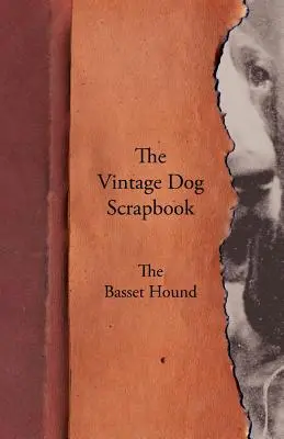 Album o psach w stylu vintage - Basset Hound - The Vintage Dog Scrapbook - The Basset Hound