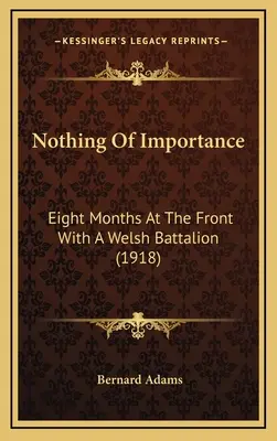 Nic ważnego: Osiem miesięcy na froncie z walijskim batalionem (1918) - Nothing Of Importance: Eight Months At The Front With A Welsh Battalion (1918)