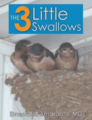 3 małe jaskółki - The 3 Little Swallows