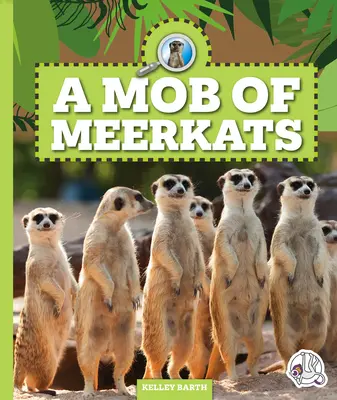 Tłum surykatek - A Mob of Meerkats