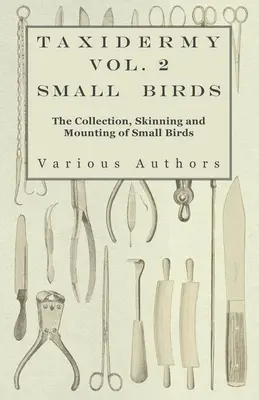 Taxidermy Vol. 2 Small Birds - Zbieranie, skórowanie i montaż małych ptaków - Taxidermy Vol. 2 Small Birds - The Collection, Skinning and Mounting of Small Birds