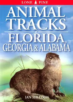 Ślady zwierząt na Florydzie, w Georgii i Alabamie - Animal Tracks of Florida, Georgia, Alabama