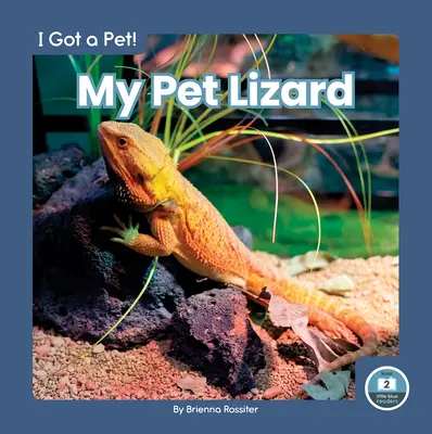 Moja jaszczurka - My Pet Lizard