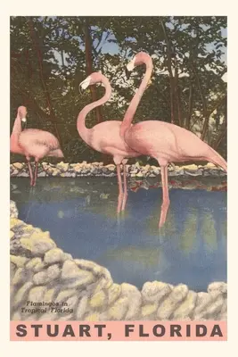 Vintage Journal Flamingi, Stuart, Floryda - Vintage Journal Flamingos, Stuart, Florida