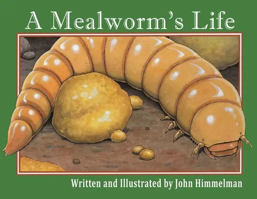 Życie mącznika - A Mealworm's Life