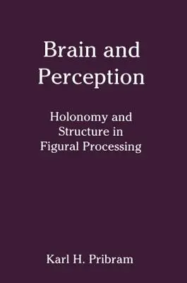 Mózg i percepcja: Holonomia i struktura w przetwarzaniu figuralnym - Brain and Perception: Holonomy and Structure in Figural Processing