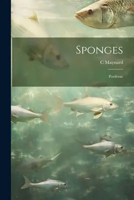 Gąbki; Poriferae - Sponges; Poriferae