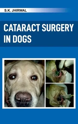 Chirurgia zaćmy u psów - Cataract Surgery in Dogs