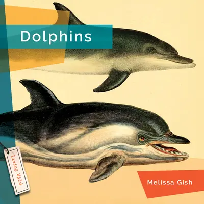 Delfiny - Dolphins