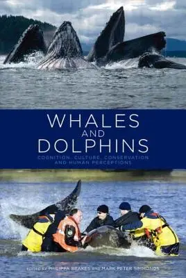 Wieloryby i delfiny: Poznanie, kultura, ochrona przyrody i ludzkie postrzeganie - Whales and Dolphins: Cognition, Culture, Conservation and Human Perceptions