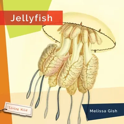 Meduzy - Jellyfish