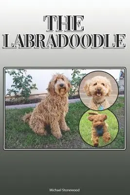 Labradoodle: A Complete and Comprehensive Owners Guide to: Kupno, Posiadanie, Zdrowie, Pielęgnacja, Szkolenie, Posłuszeństwo, Zrozumienie i - The Labradoodle: A Complete and Comprehensive Owners Guide to: Buying, Owning, Health, Grooming, Training, Obedience, Understanding and